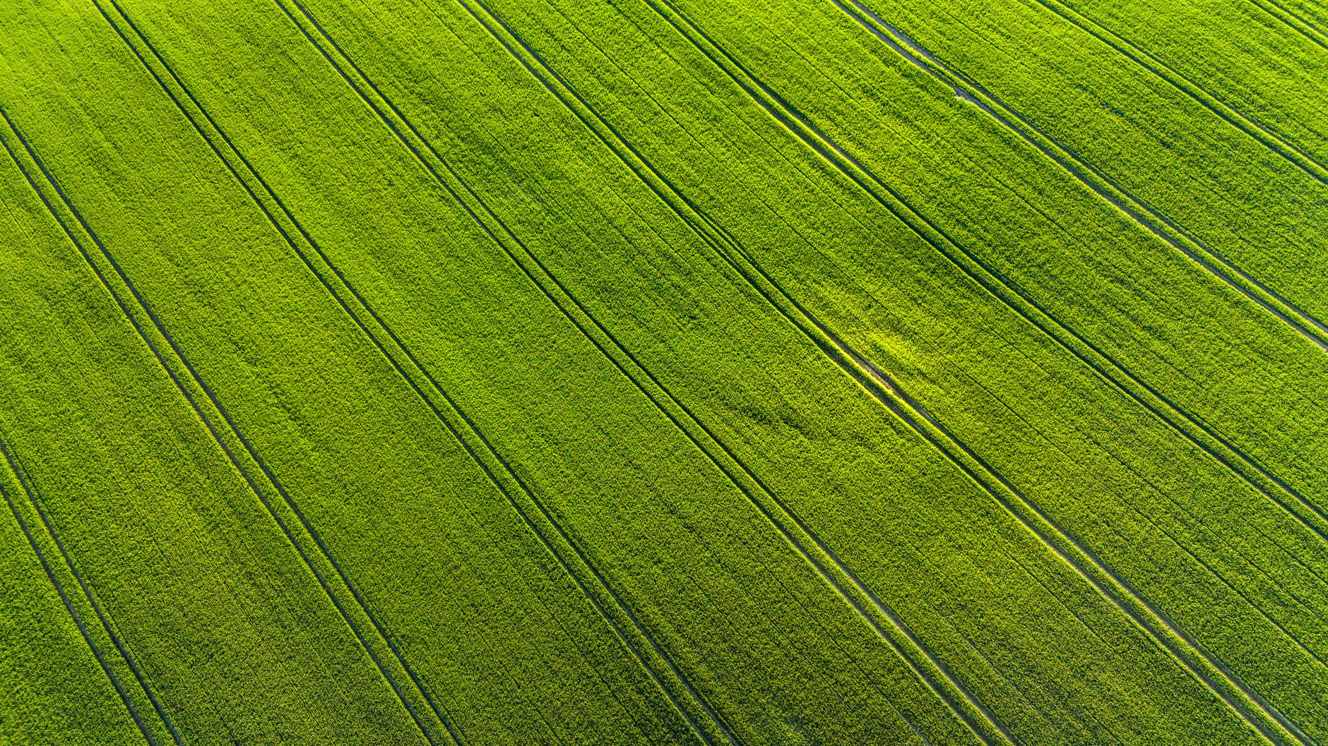 High-angle drone shot capturing vibrant green farm field patterns from above.