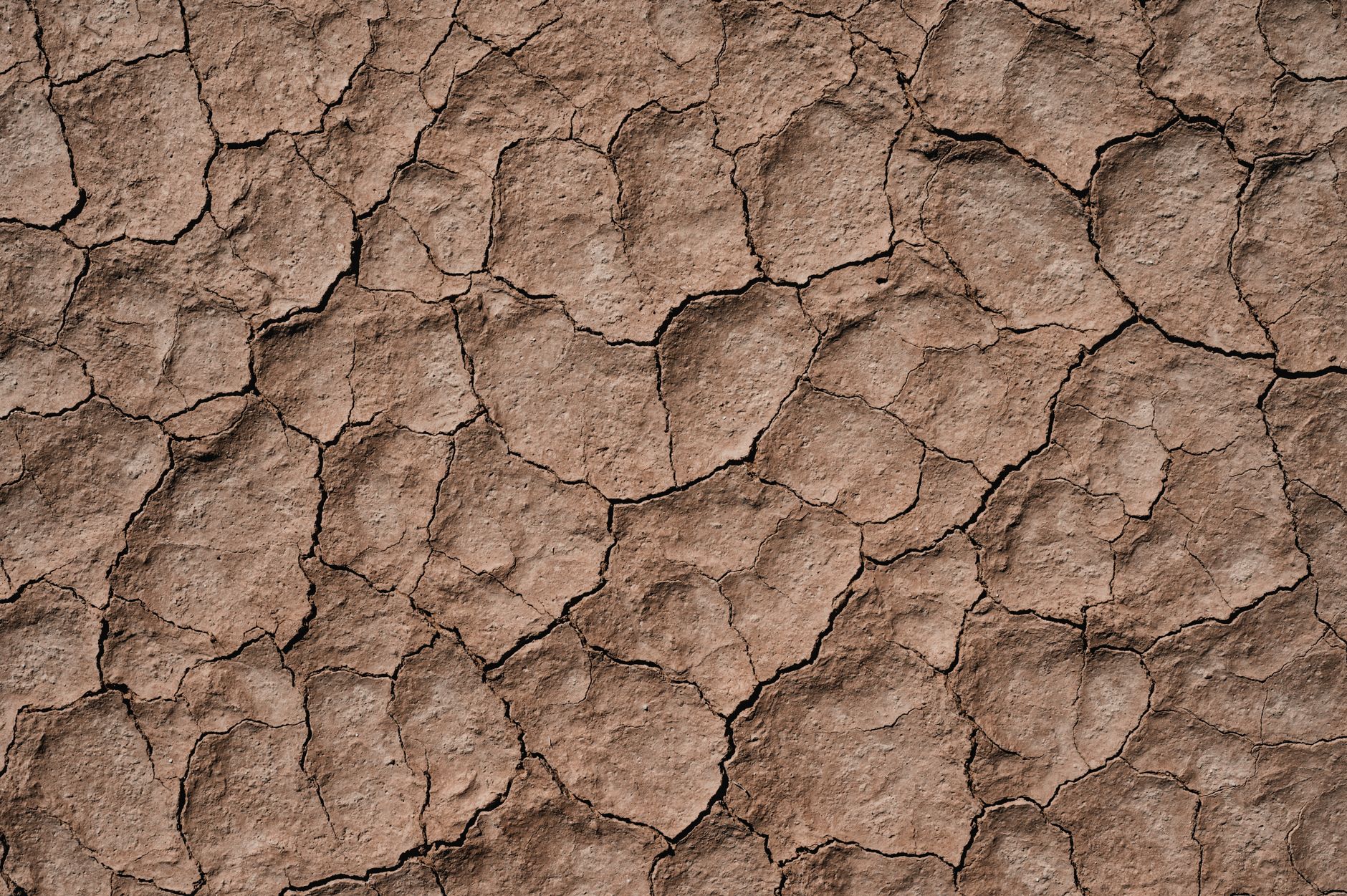 Close-up view of cracked arid ground, illustrating drought and desert landscapes.